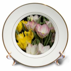 3dRose Easter Pastel Tulips Floral, Porcelain Plate, 8-inch   